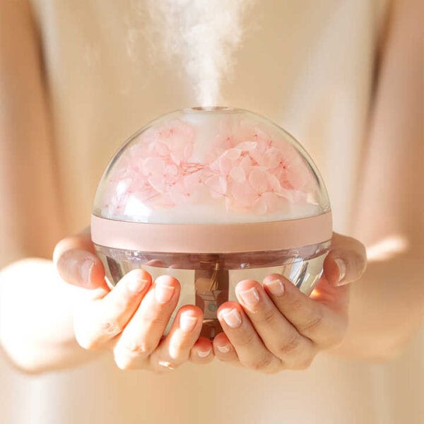 BESTLAUD USB humidifier (1)